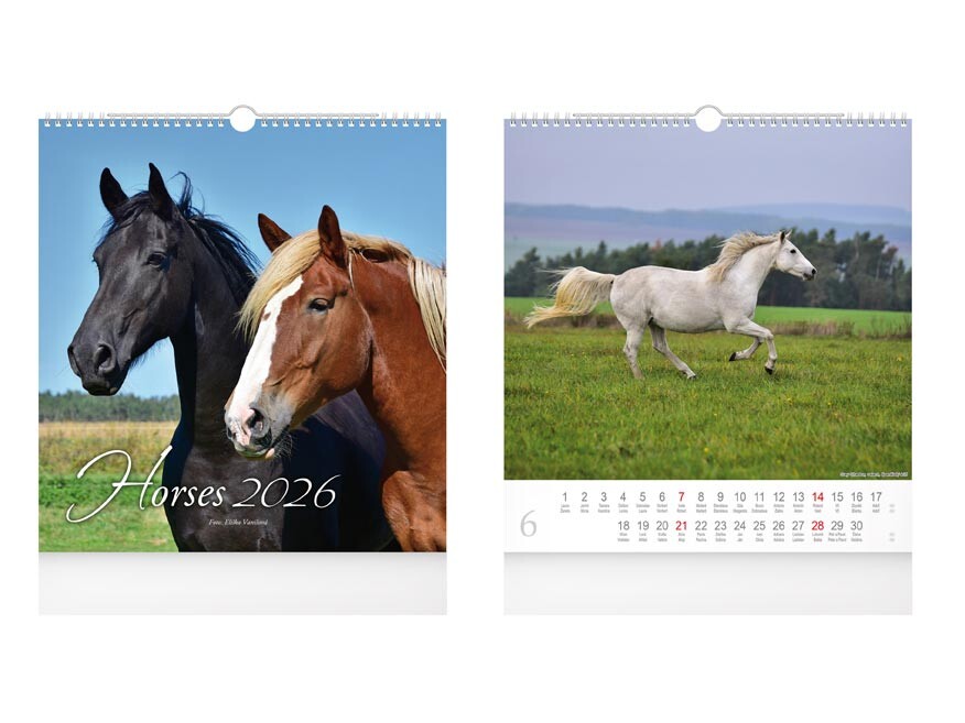 MFP 1061636 Kalendář 2026 nástěnný malý Horses