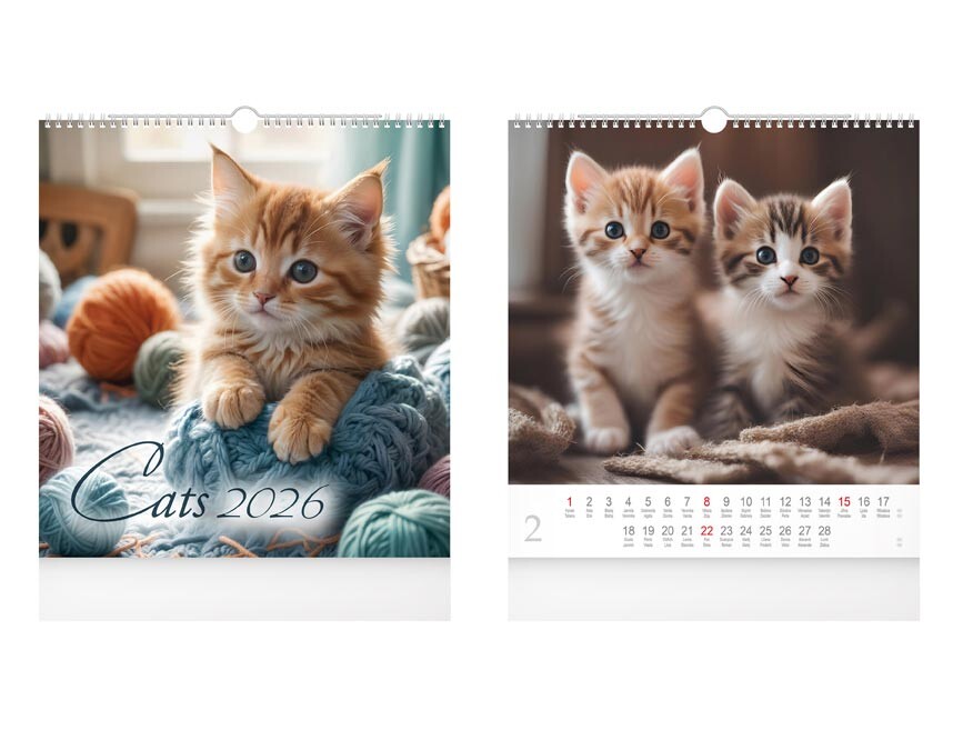 MFP 1061634 Kalendář 2026 nástěnný malý Cats