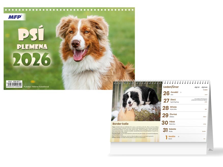 MFP 1061677 Kalendář 2026 stolní Psí plemena