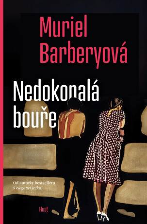 Nedokonalá bouře - Muriel Barberyová - e-kniha