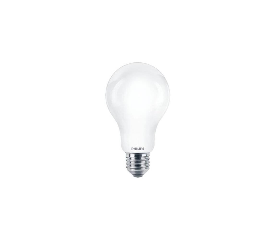 Philips LED Žárovka Philips A67 E27/17,5W/230V 2700K