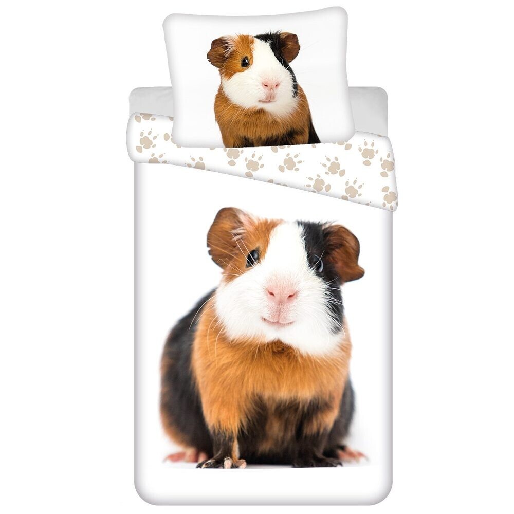 Jerry Fabrics Povlečení morče - Morče | 140 x 200 cm / 70 x 90 cm