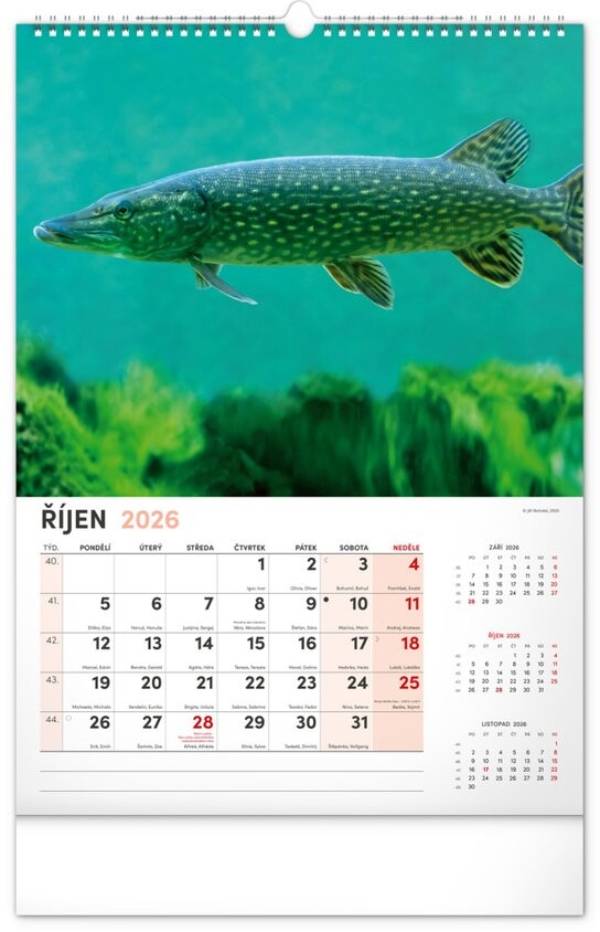 Rybářský kalendář 2026 - nástěnný kalendář