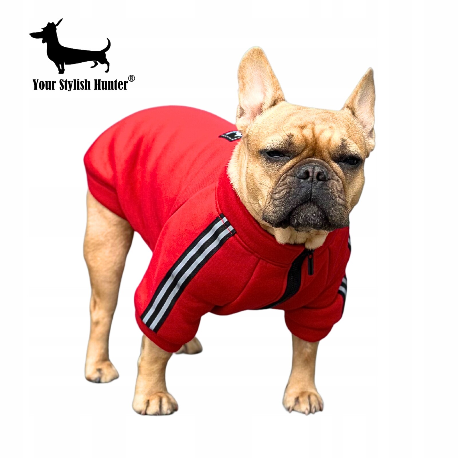 Tepláková mikina oblečení pro psa francouzského buldočka a další S