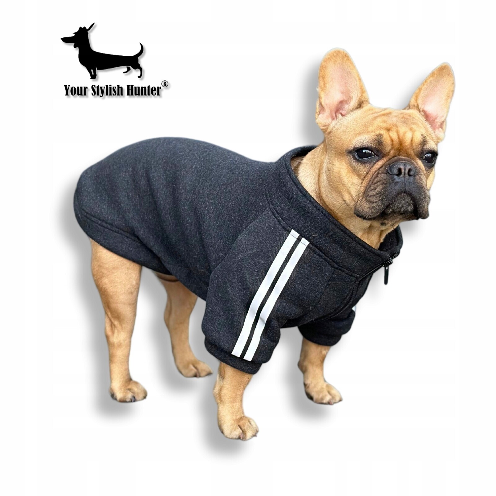 Tepláková mikina s reflexními prvky, oblečení pro psa francouzského buldočka a další M
