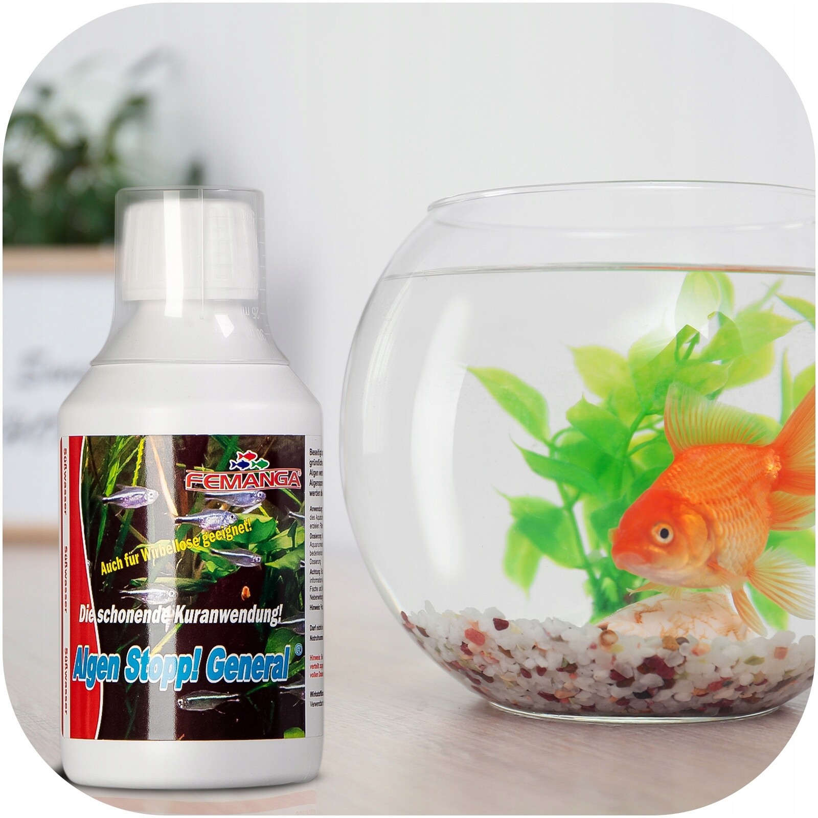 Protiřasový Prostředek Akvárium Bojuje Proti Trpasličím Řasám Přípravek Odstraňuje 500 ML