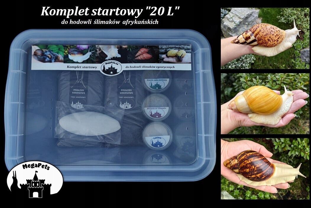 Startovací komplet 20L Africké slimáky Achatina Lissachatina Archachatina