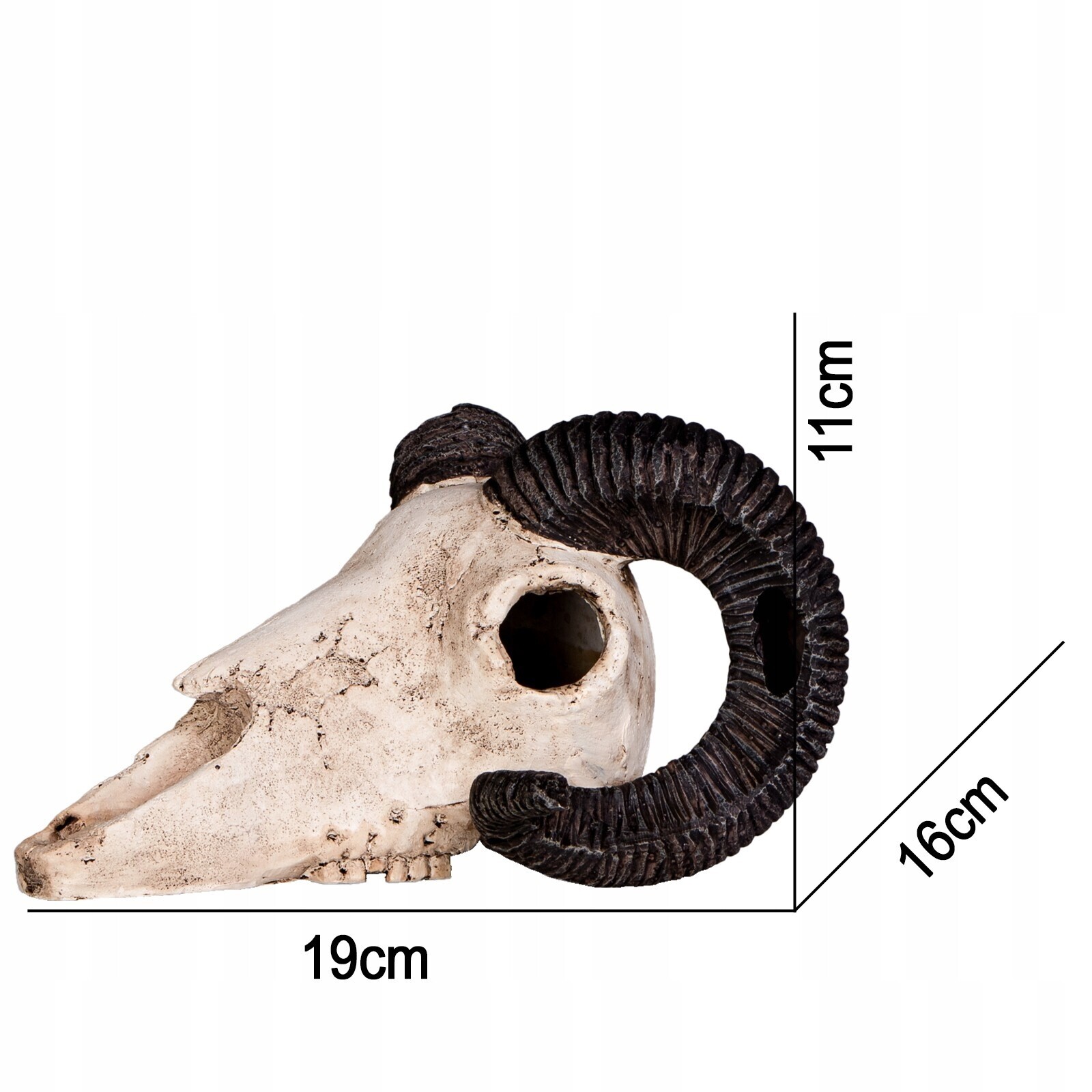 Lebka Berana S Rohy Dekorace Do Terária Akvárium Úkryt 19 CM