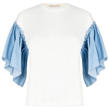 Rinascimento  CFC0124036003  ruznobarevne