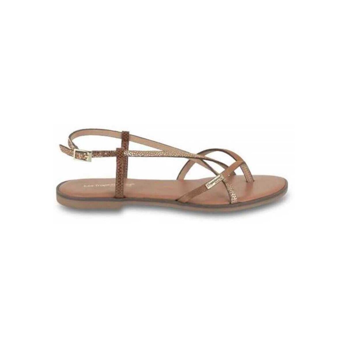 Les Tropéziennes par M Belarbi  Monagum  Hnědá