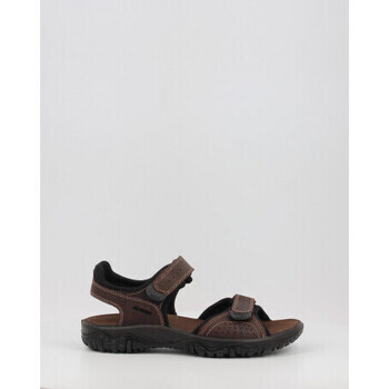 Imac  PACIFIC 753360  Hnědá