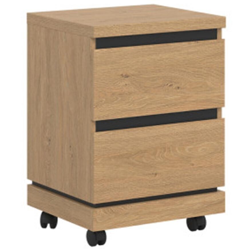 Kontejner Ate At09 dub kamenný/černá