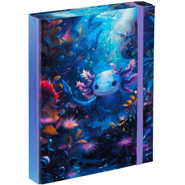 BAAGL AXOLOTL Desky na školní sešity A5, mix, velikost
