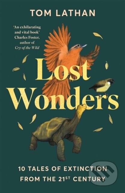 Lost Wonders - Tom Lathan