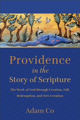 Providence in the Story of Scripture: The Work of God Through Creation, Fall, Redemption, and New Creation -  (Co Adam)(Paperback)