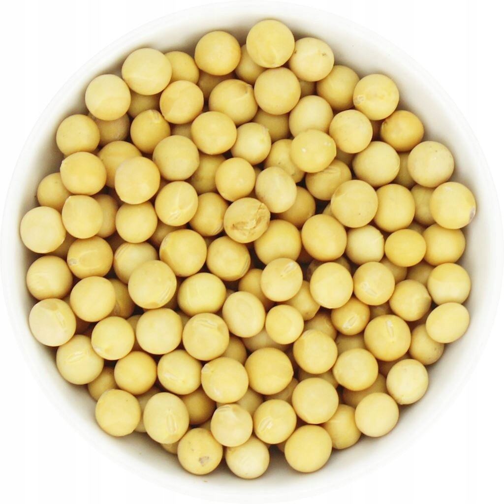 Sója bio surovina 25 kg 7