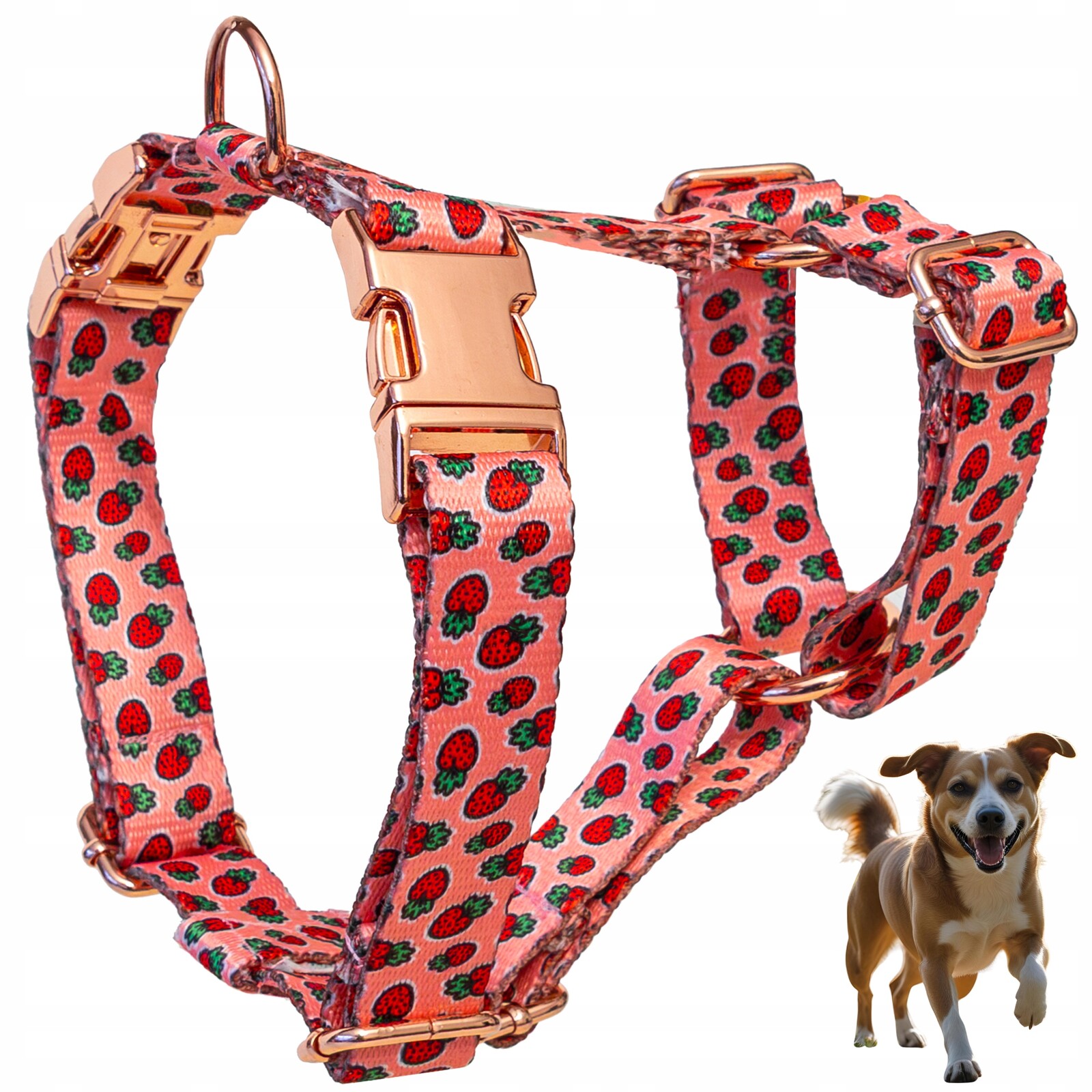 Postroj pro psa typu guard beztlakový, silný, nastavitelný Jahody velikost L