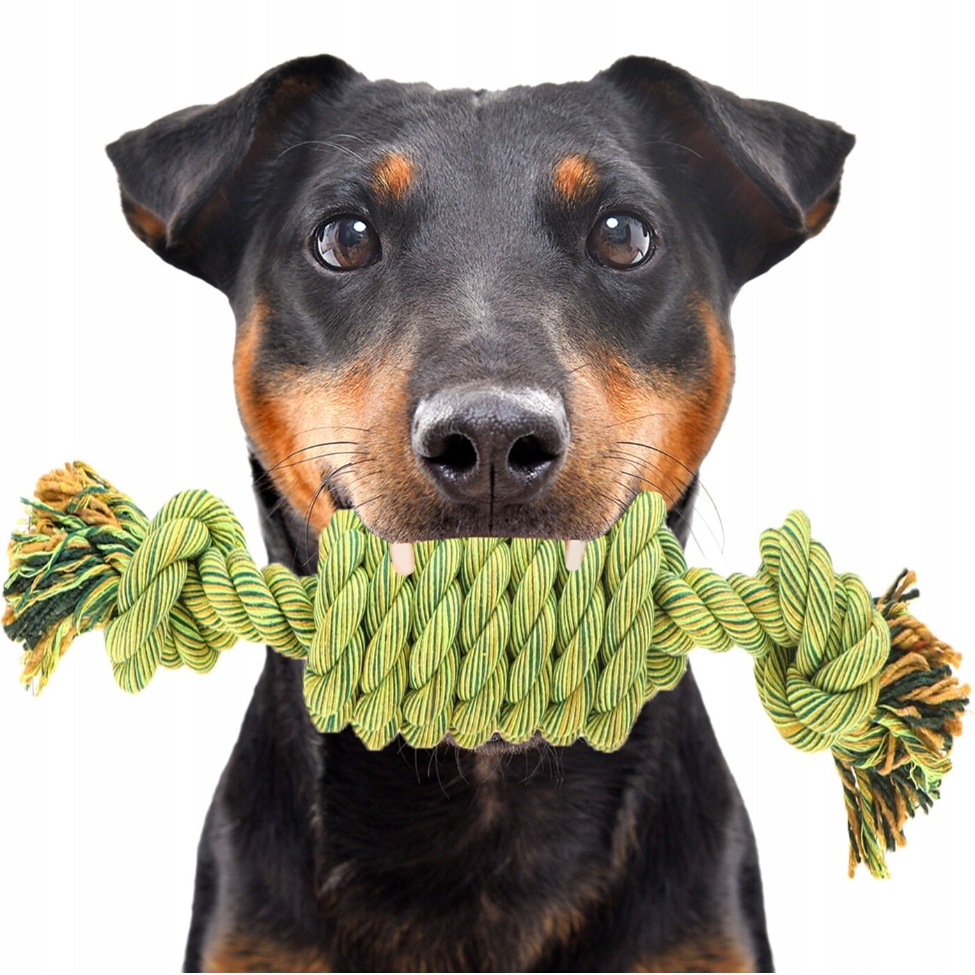 Přetahovadlo Pro Velkého Psa – Kousátko Z Bavlněného Provázku Na Škubání