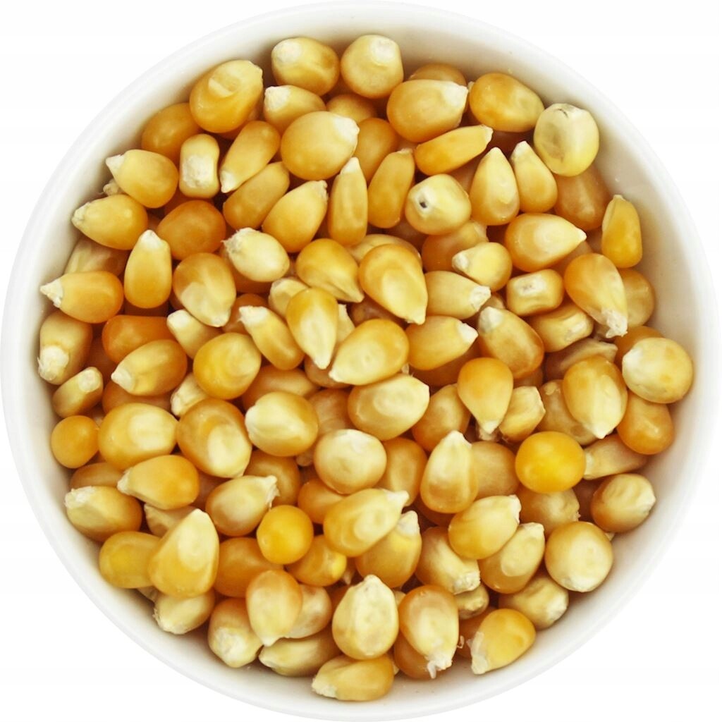 Popcorn kukuřičné zrno bio surovina 25 kg 2
