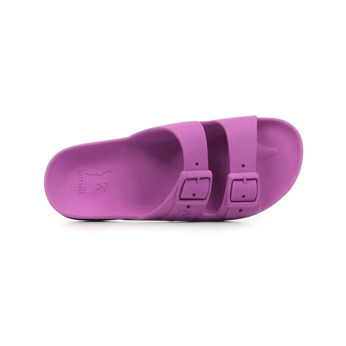 Cacatoès  Bahia  Fialová