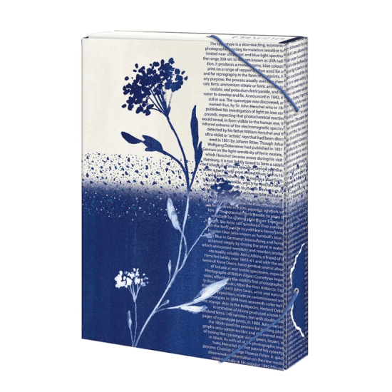 Argus Box na sešity A4 - Simply - 1231-0409