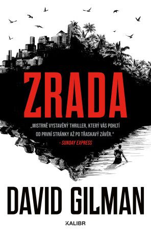 Zrada - David Gilman - e-kniha
