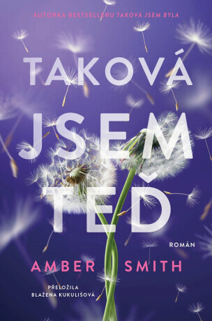 Taková jsem teď - Amber Smith
