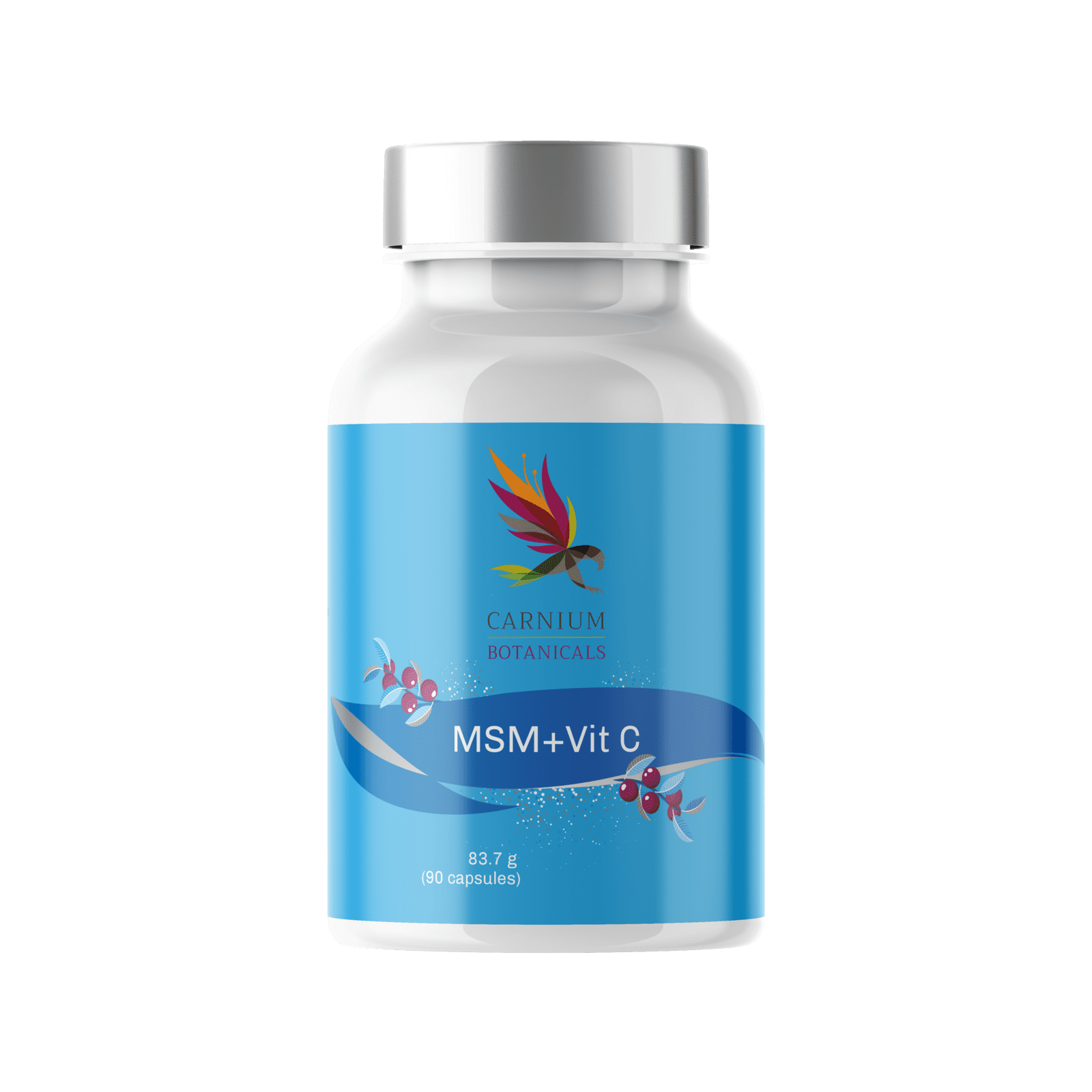 CARNIUM BOTANICALS MSM s Vitamínem C 90 kapslí