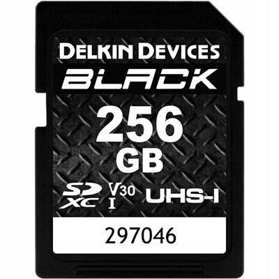 Delkin Sd karta Black Rugged Uhs-i (V30) R90/W90 256GB