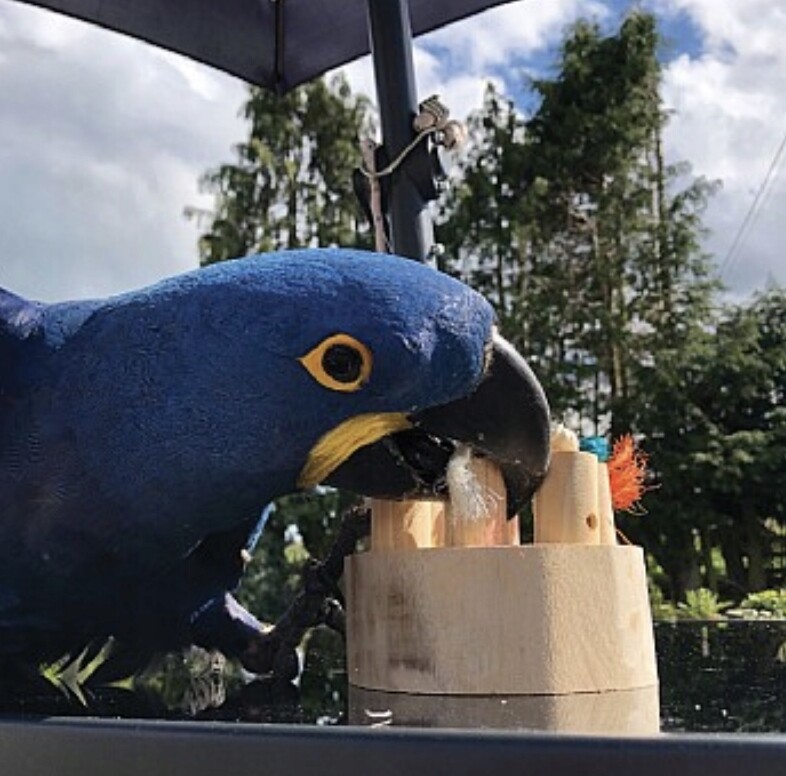 Hračka pro velké papoušky Chutné Puzzle