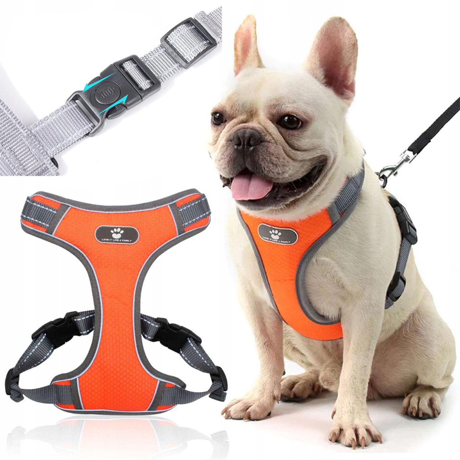 Beztlakový Postroj Step In Pro Malé Psy, Ovčáky A Kočky, Odolný, Velikost M