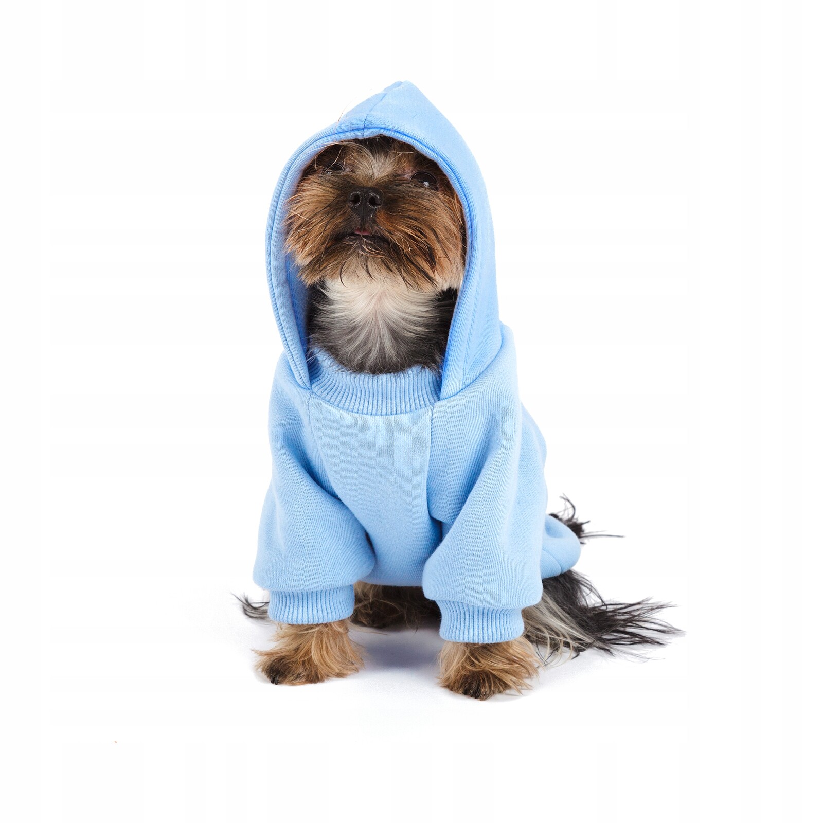 Psí mikina Beloved Dog Blue M