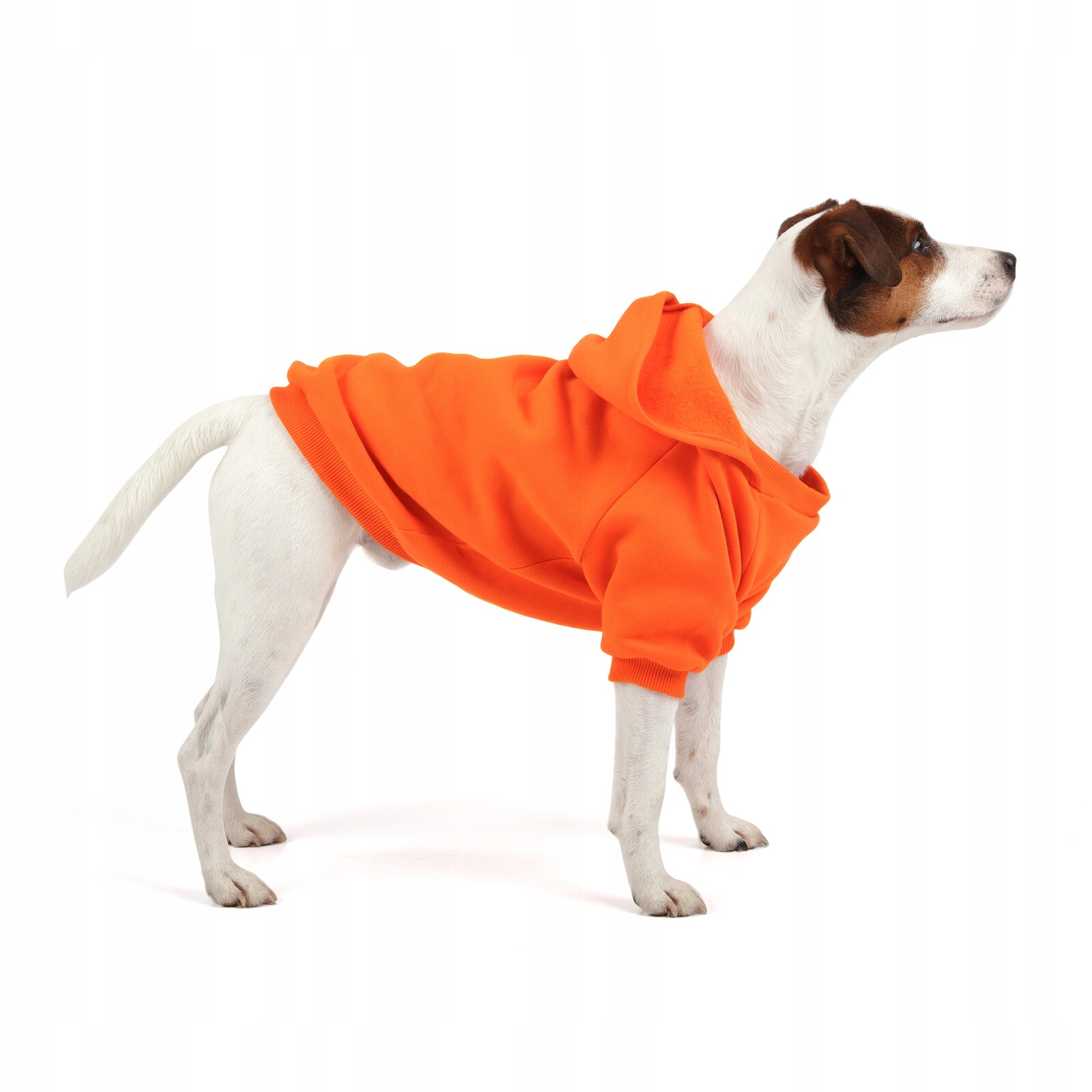 Mikina pro psa Guitars Orange Xxs