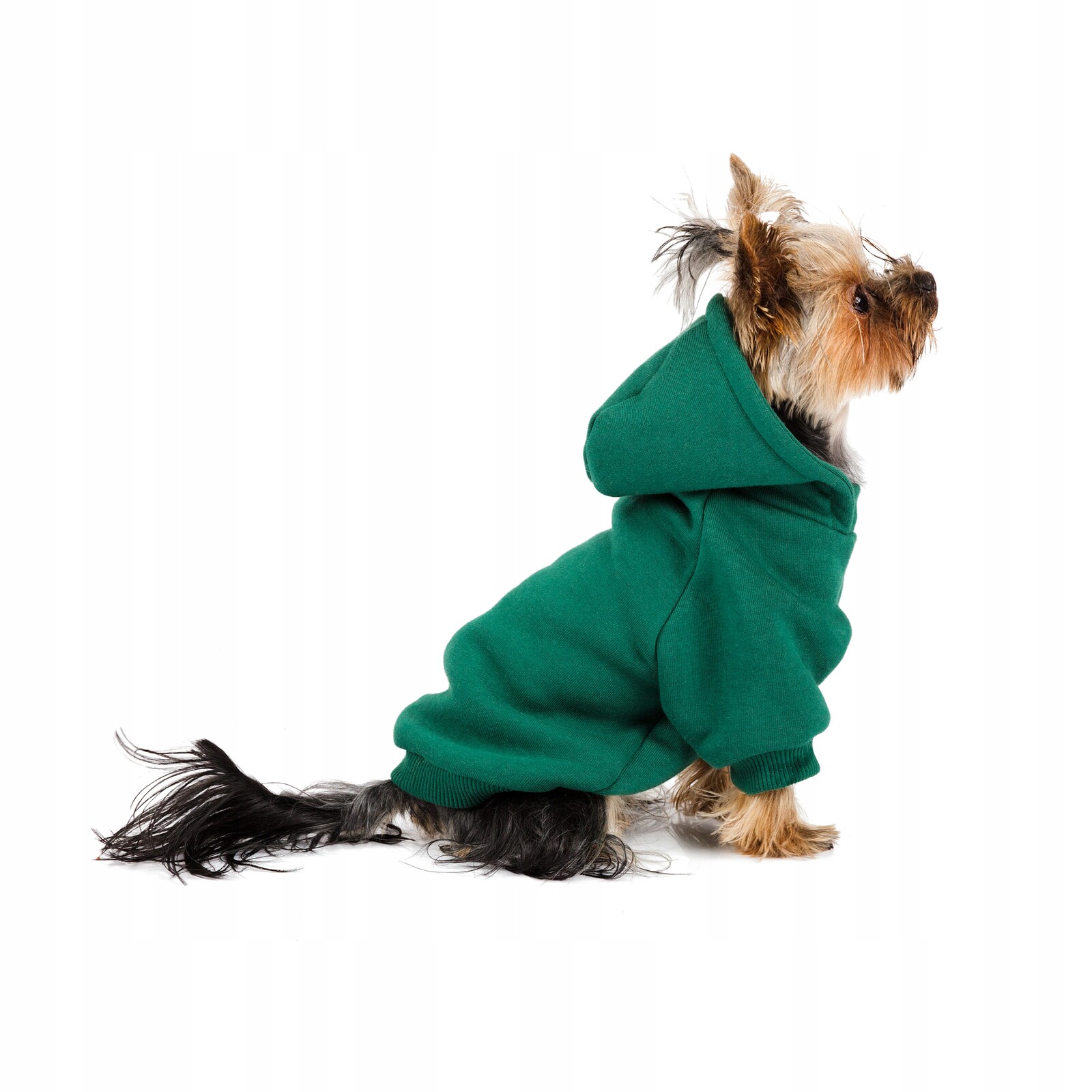 Mikina pro psy Beloved Dog Green Xs