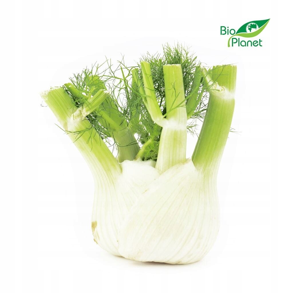 Hromadné Balení (kg) Koper Italský Čerstvý (fenkule) Bio (cca 5 kg)
