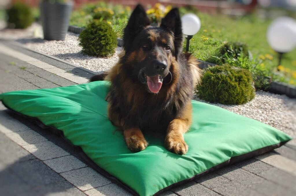 Pelíšek s pohankovou slupkou pro psa Polštář z pohanky pro kočky 38x55