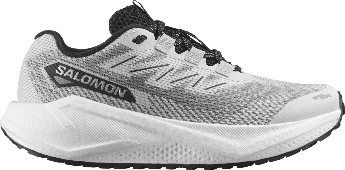 Běžecké boty Salomon AERO BLAZE 3 GRVL W