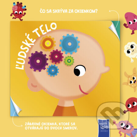 Ľudské telo - Čo sa skrýva za okienkom? - YoYo Books