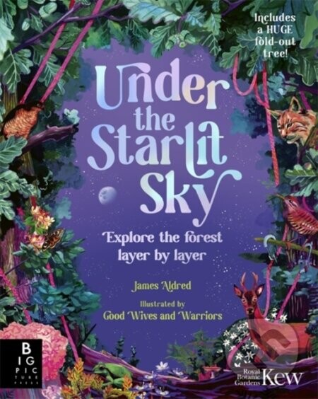 Under the Starlit Sky - James Aldred