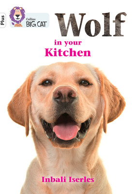 Wolf in your kitchen - Band 10+/White Plus (Iserles Inbali)(Paperback / softback)