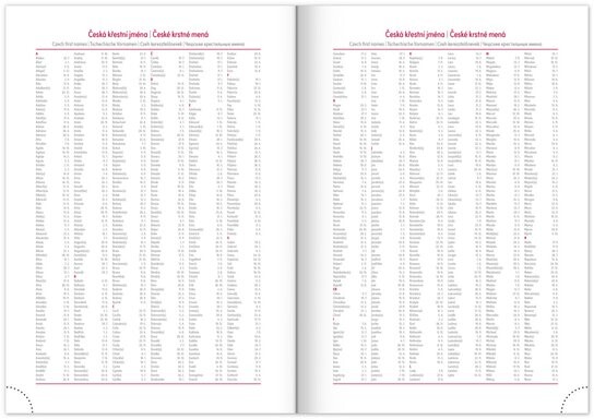 Denní diář 2026 Balakon bordó