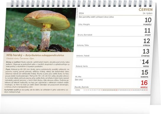 Houby 2026 - stolní kalendář