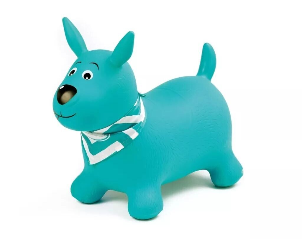 Ludi Skákací pes tyrkys