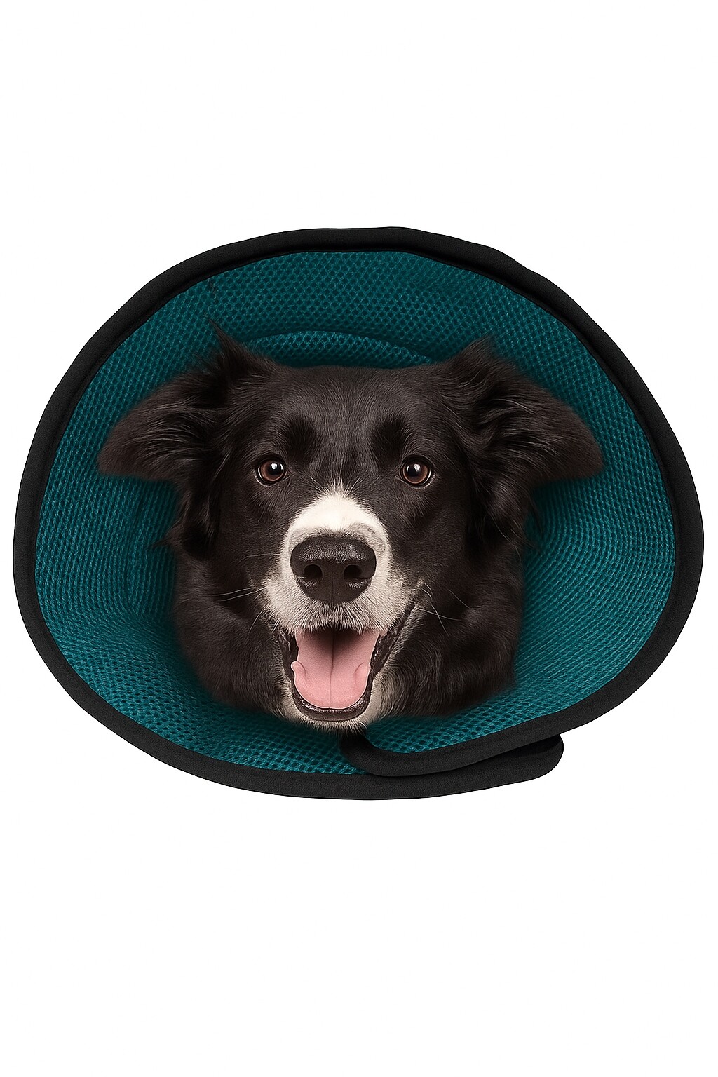 Alžbětinský obojek Ochranný límec pro psa Nastavitelný r. S