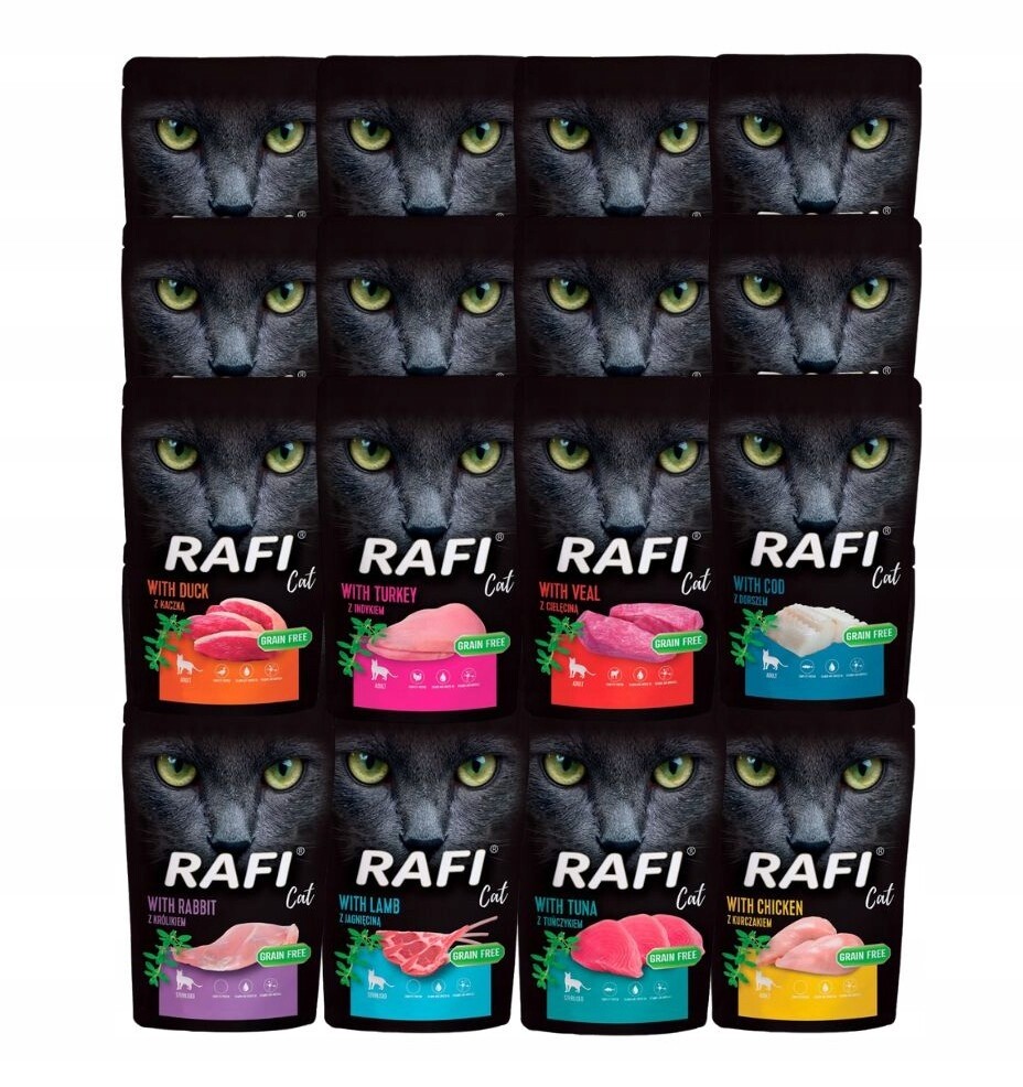 Mokré krmivo pro kočky Rafi mix chutí 24x100g Nové Příchutě Dolina Noteci