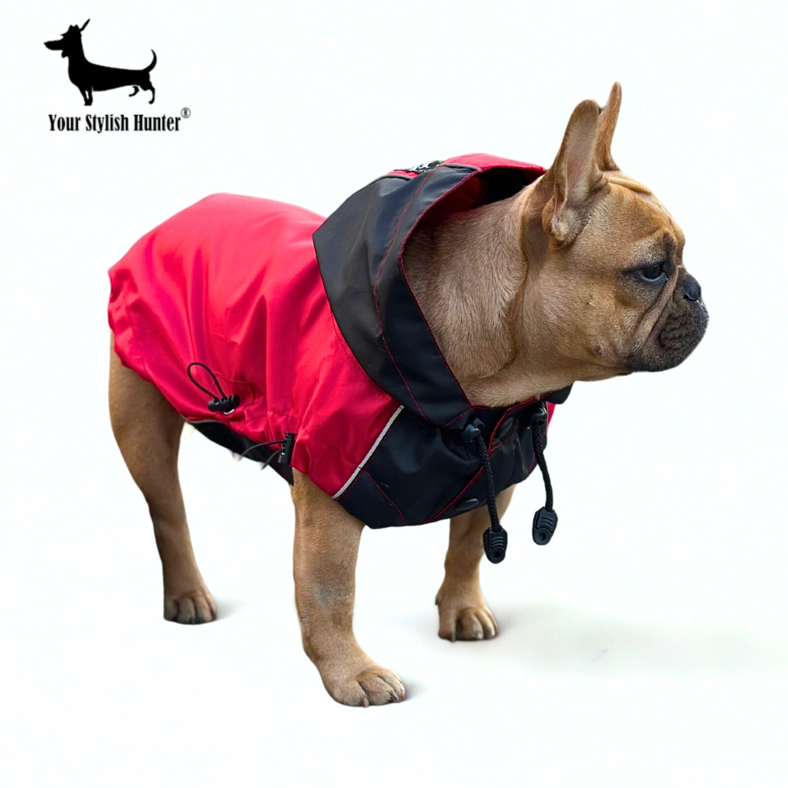 Pláštěnka bez podšívky s kapucí francouzský buldoček mops M