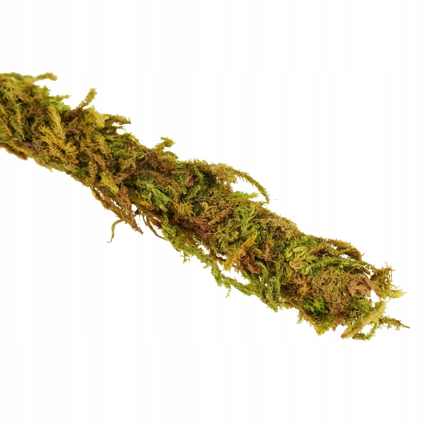 Liána Do Terária S Mechem, Dekorace, Dekorace Pro Pavoučí Plazy, 2 M