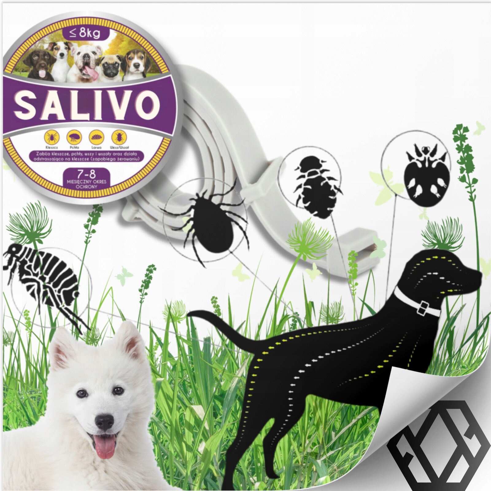 2 x Obojek Na Klíšťata A Blechy Pro Malého Psa Proti Klíšťatům Funguje 8 Měsíců