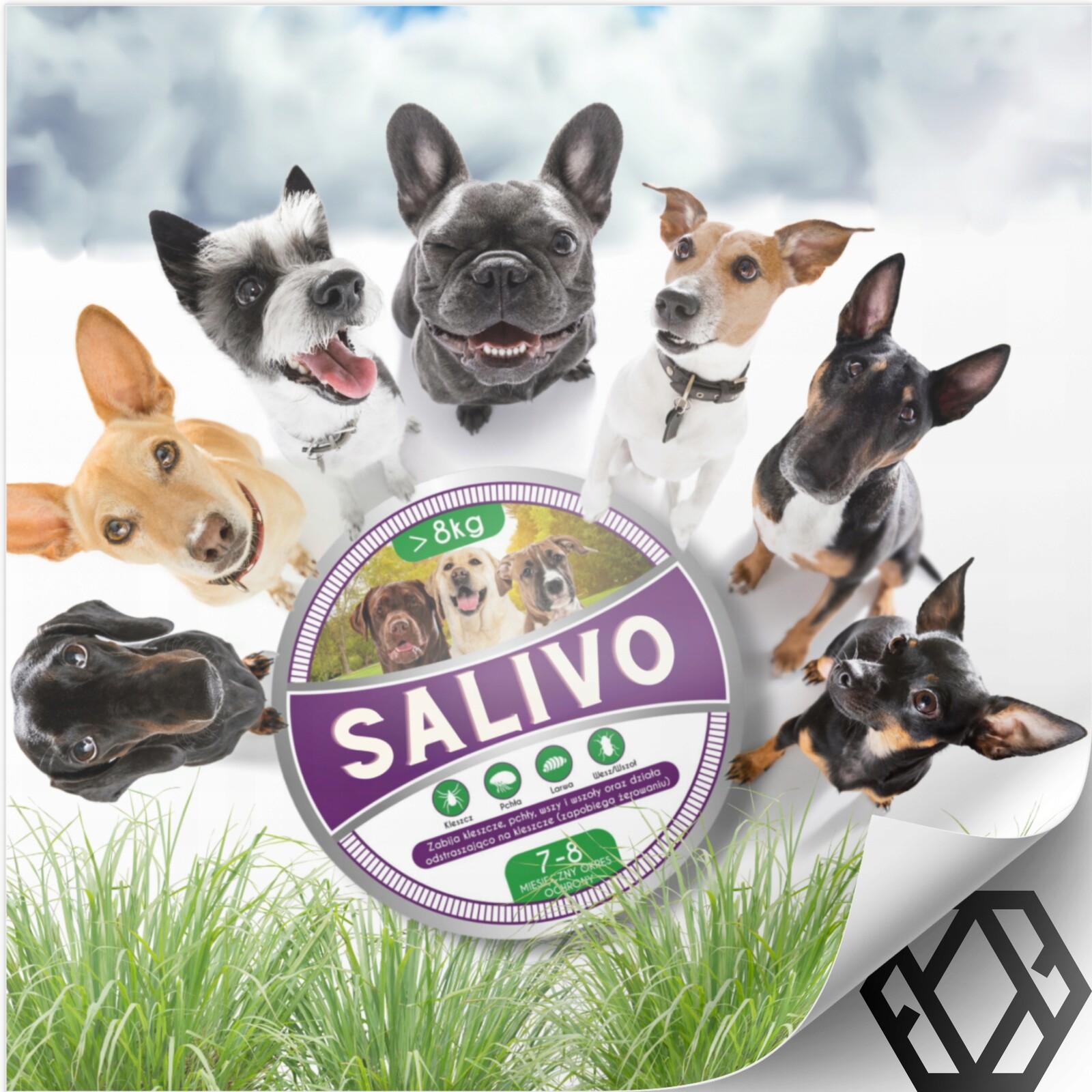 2 x Obojek Na Klíšťata A Blechy Pro Velkého Psa Antiklíšťový Funguje 8 Měsíců