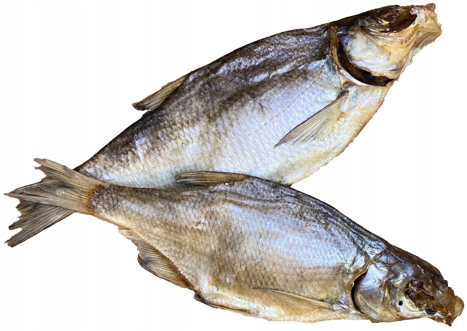 Sušená ryba k pivu Leštidlo celé 1000 g +/- 20 g